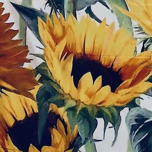 Meet your Posher, Kale